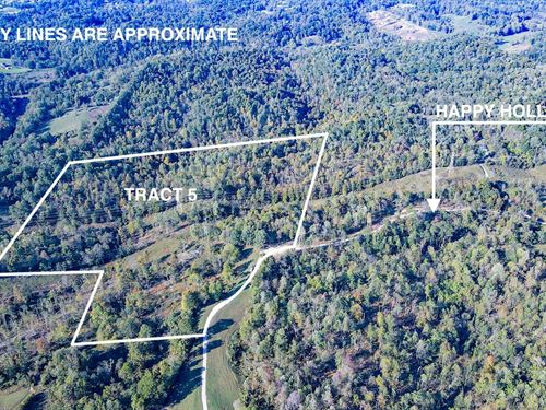 Happy Hollow Rd Tract 5, 26 Acres : Waverly : Wood County : West Virginia