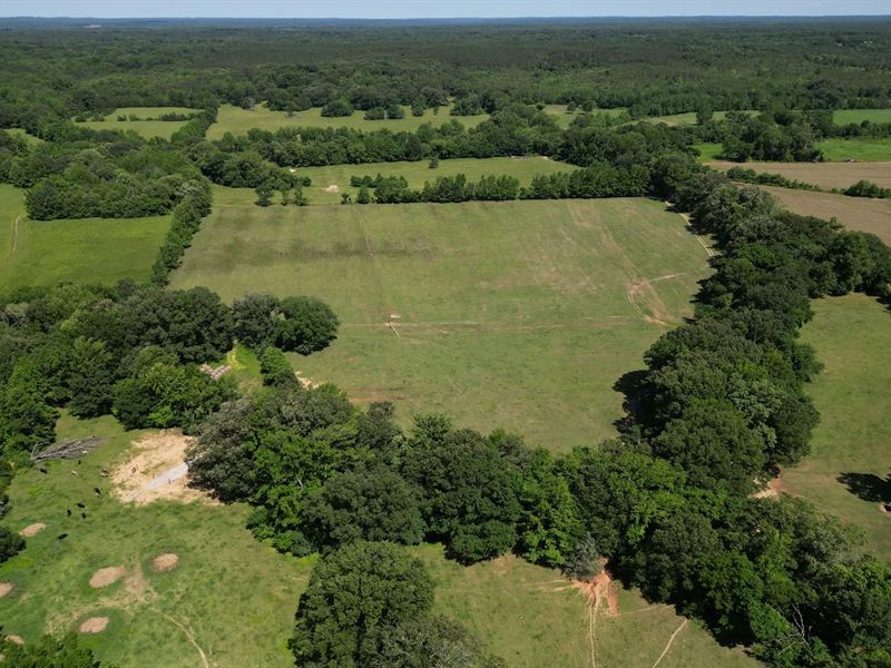 48.75 Acres in Benton County in Lam : Lamar : Benton County : Mississippi