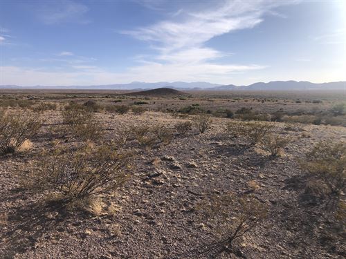 40 Acres of New Mexico's Magic : San Antonio : Socorro County : New Mexico