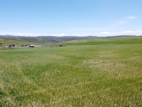 North Elkhead Tract 1 : Craig : Moffat County : Colorado