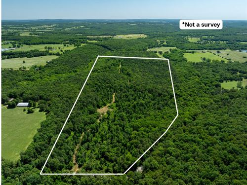 71 Acres of Prime Hunting in Flo : Floral : Independence County : Arkansas