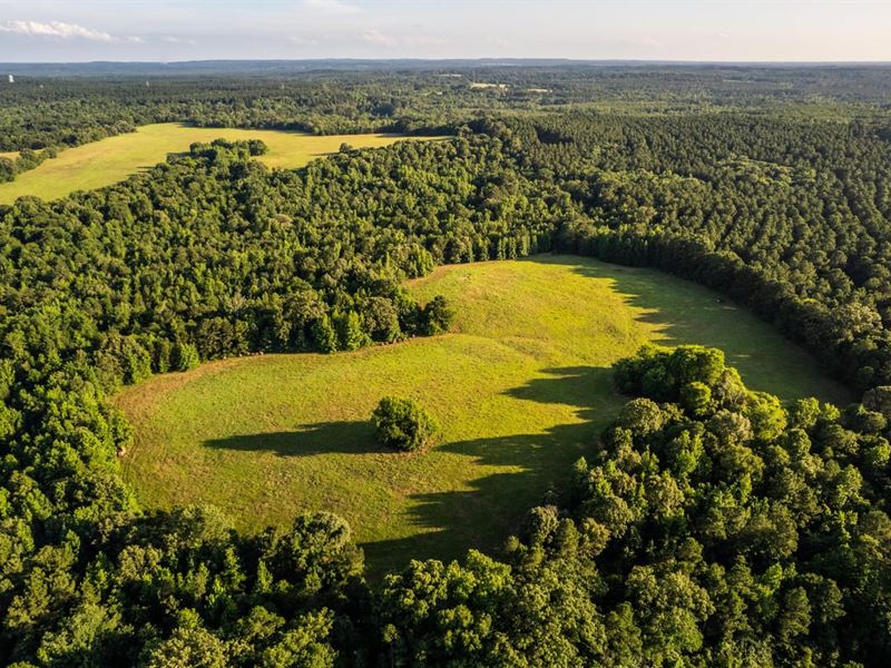 Spring Meadows Ranch : Harleton : Marion County : Texas