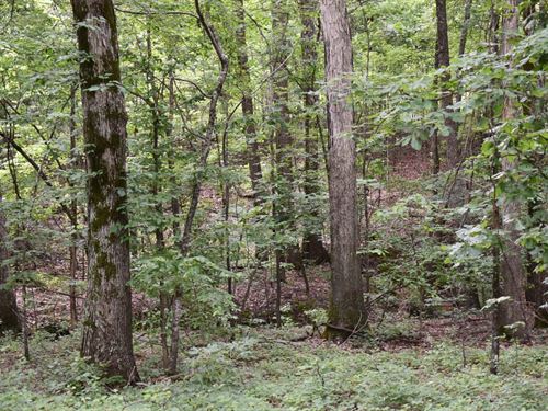 Big Creek North : Harrisburg : Poinsett County : Arkansas