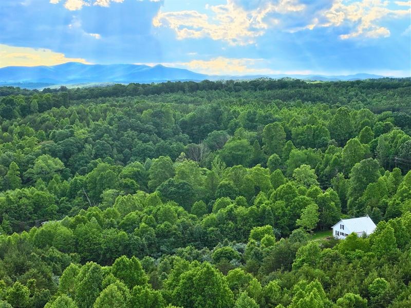 Creekbend Cottage 101 Acres Wit : Bassett : Henry County : Virginia