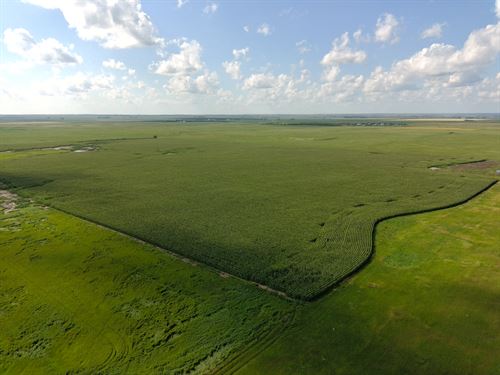 159.27 Acres-Mcpherson County : Leola : McPherson County : South Dakota