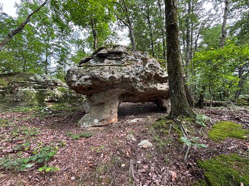 123 Acres, Secluded But Accessible : Horton : Blount County : Alabama