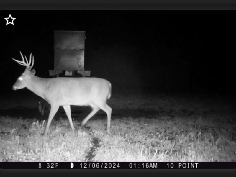 100 Acres in Columbia, Mississippi : Columbia : Marion County : Mississippi