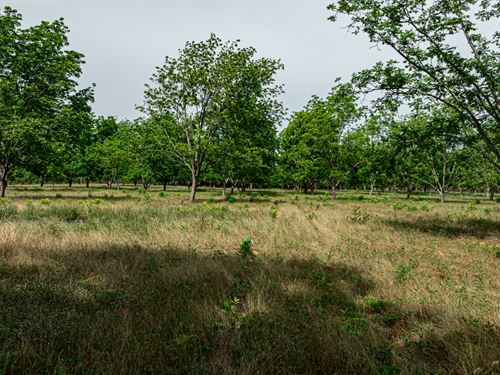 McCoy Farms : Louisville : Jefferson County : Georgia