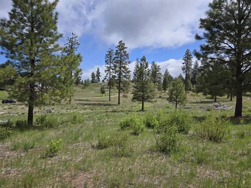 Beautiful 10 Acres : Chiloquin : Klamath County : Oregon