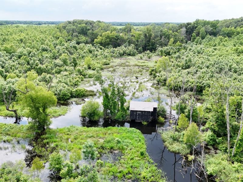 Proctor Arkansas 232 Acre Hunting : Proctor : Crittenden County : Arkansas