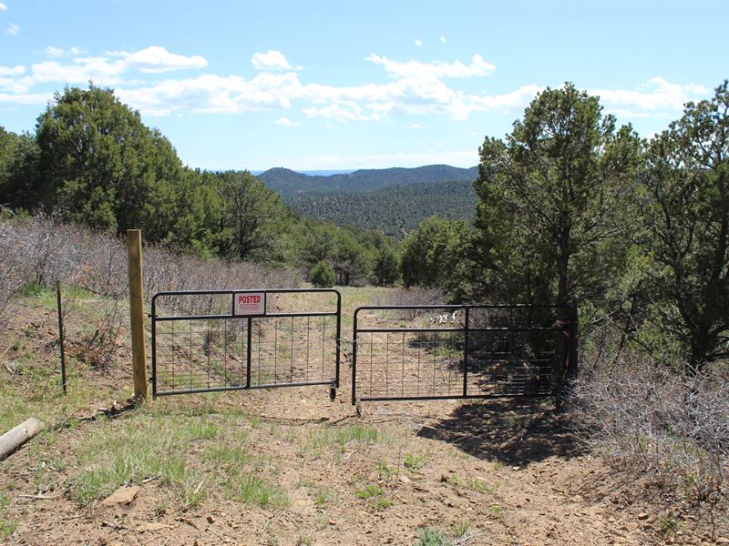 Picketwire 38 Blm Access : Trinidad : Las Animas County : Colorado