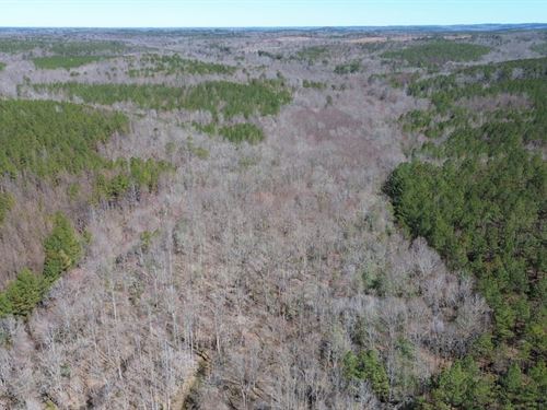 Factory Creek 120 : Detroit : Marion County : Alabama