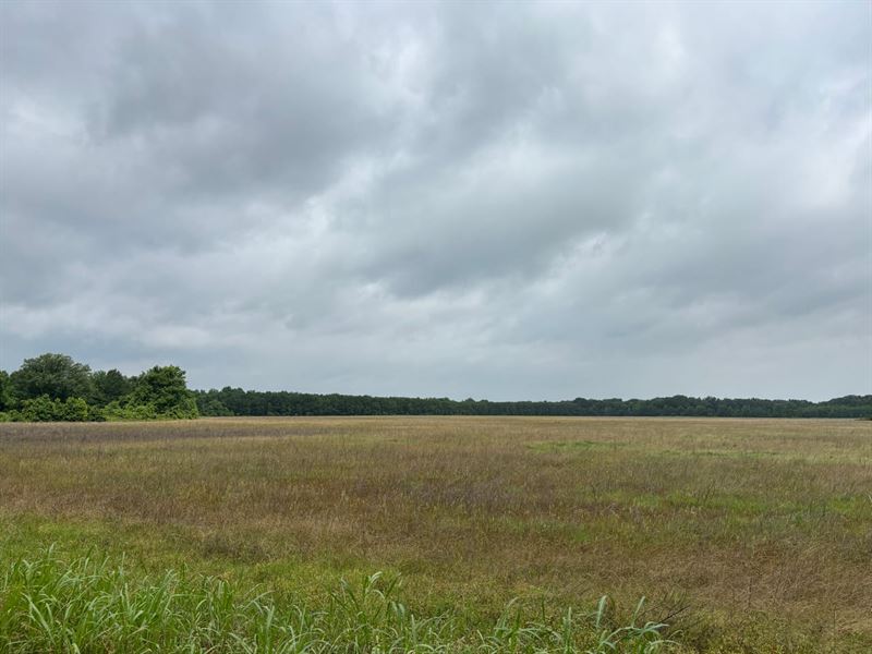 Lincoln County 178 Acre Row Crop : Star City : Lincoln County : Arkansas