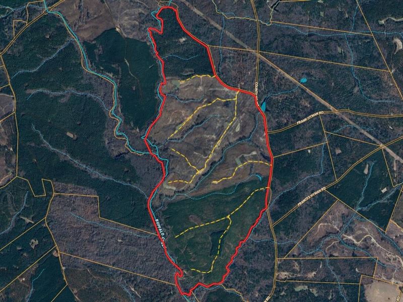 841.49 Acres, Buffalo Creek Timber : Sparta : Hancock County : Georgia
