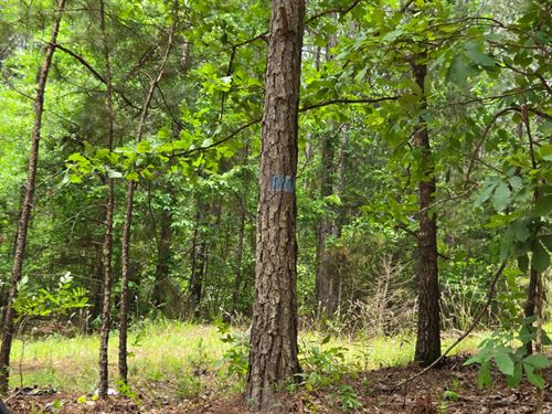 Dudleyville Tract 2 : Dadeville : Tallapoosa County : Alabama