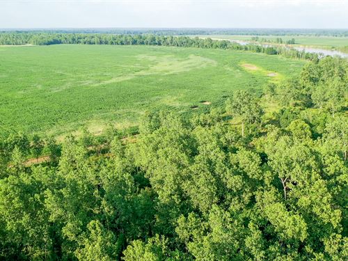 Irrigated Farm & Hunting Ranch : Haworth : McCurtain County : Oklahoma