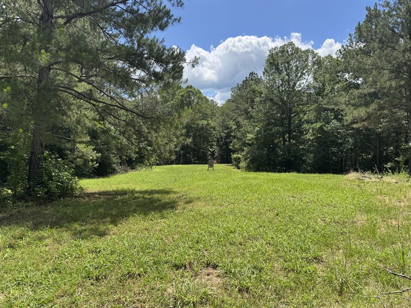 Small Hunting Tract : Hazlehurst : Copiah County : Mississippi