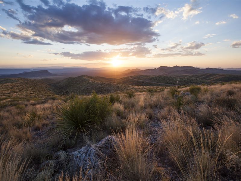 Gorgeous Texas Ranchette Only $279 : Dell City : Hudspeth County : Texas