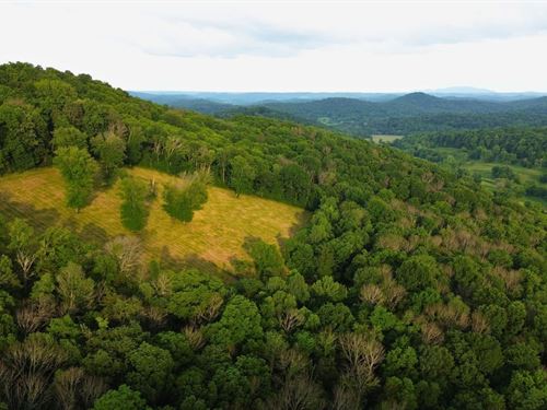 Johnson Hollow, Watertown, TN : Watertown : Wilson County : Tennessee