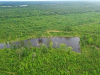 Chickasaw County rd 166 : Houston : Chickasaw County : Mississippi