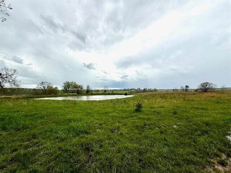 160 Acres, Fenced Cross Fenced, Oak : Summersville : Shannon County : Missouri