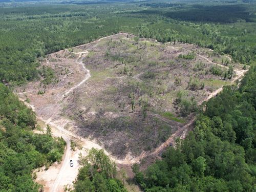 Wall Street 43 Acres : Citronelle : Mobile County : Alabama