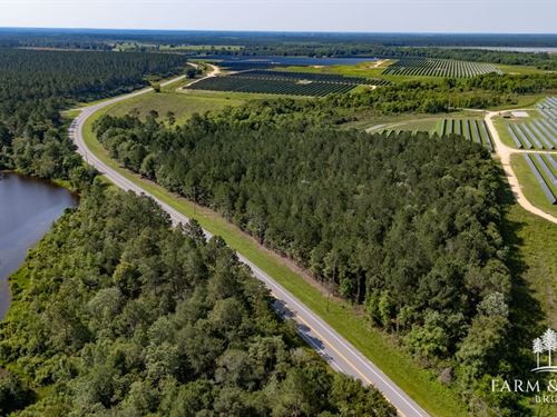 10 Ac Walton Co, County Hwy 0605 : Defuniak Springs : Walton County : Florida