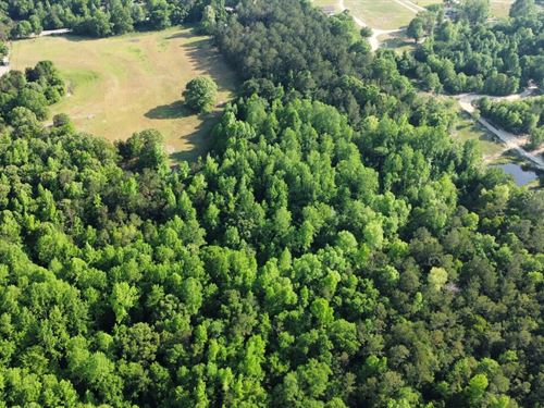 31 Acres Lee County, AL : Salem : Lee County : Alabama