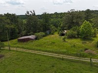 69 Ac. Near Lookout Mountain : Collinsville : Dekalb County : Alabama