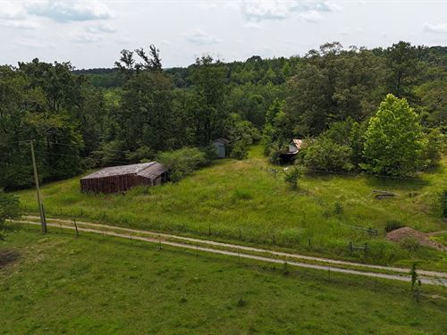 69 Ac. Near Lookout Mountain : Collinsville : Dekalb County : Alabama