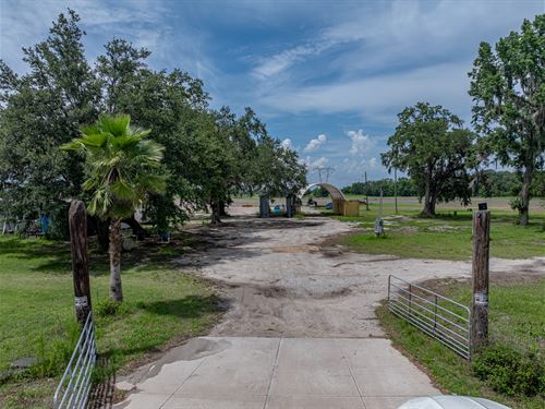 Sumter County Sod Farm : Center Hill : Sumter County : Florida