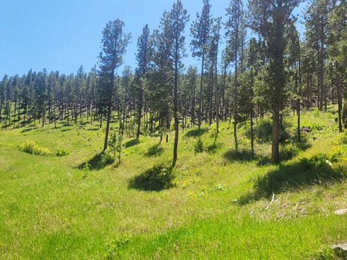 4P Properties : Newcastle : Weston County : Wyoming