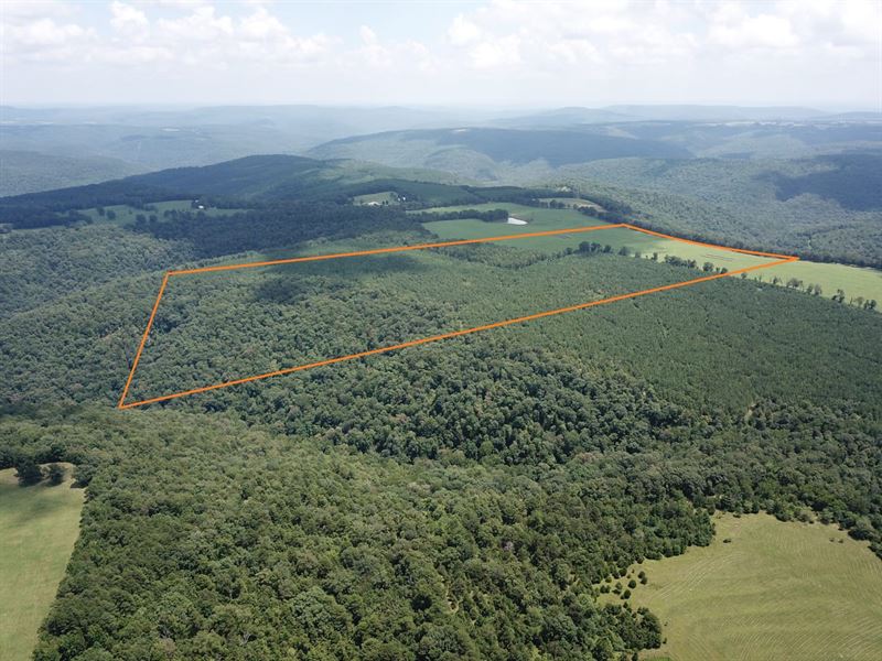 92.9 Surveyed Acres Pasture, Pine : Clinton : Van Buren County : Arkansas