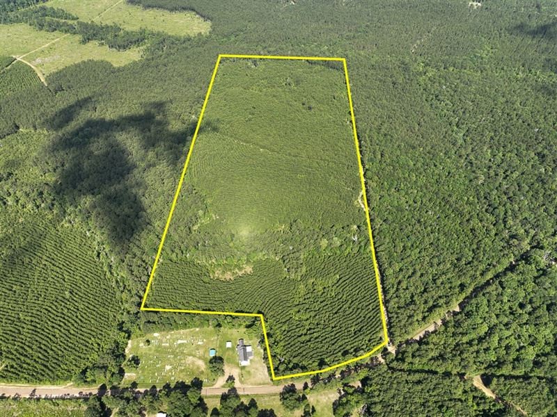60 Acres, County Road 3550 : Woodville : Tyler County : Texas