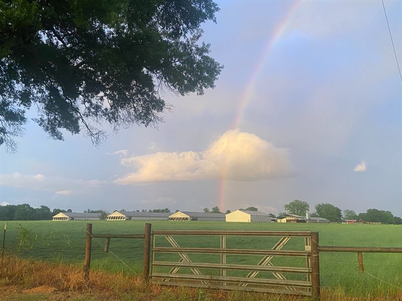 Beautiful All in One Broiler Farm : Winthrop : Little River County : Arkansas
