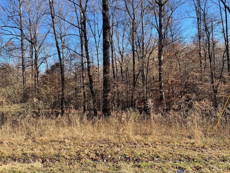 27 Acres, Welcome Chu : Westminster : Oconee County : South Carolina