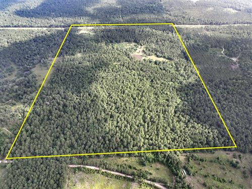 150 Acres, Old Staley Road : Huntsville : San Jacinto County : Texas