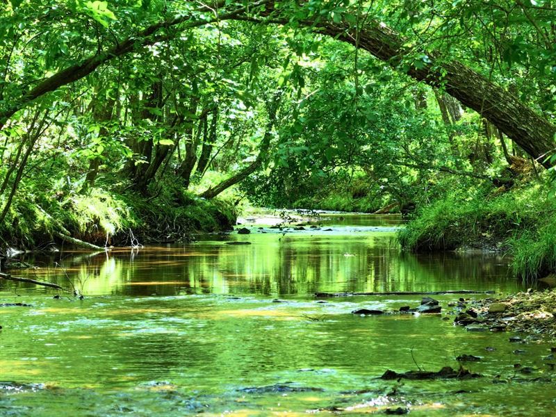 Rock Island Creek Retreat 25 Ac : Scottsville : Buckingham County : Virginia