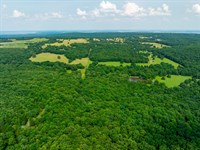 320 Acre Cattle Farm, Pasture/T : Bradford : Jackson County : Arkansas