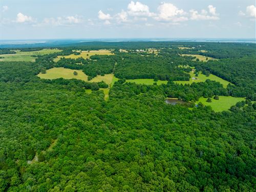 320 Acre Cattle Farm, Pasture/T : Bradford : Jackson County : Arkansas
