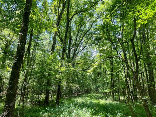 Hinds County, 59.59 Acres : Jackson : Hinds County : Mississippi