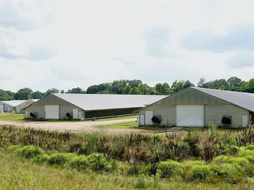 SW Miss Poultry Broiler 6 House Tur : Pattison : Claiborne County : Mississippi