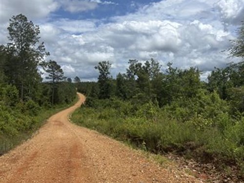 Timber/Hunting Land on 63 Acres : Eupora : Webster County : Mississippi