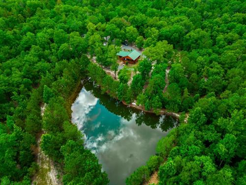 Hunt Walk Plantation : Butler : Taylor County : Georgia