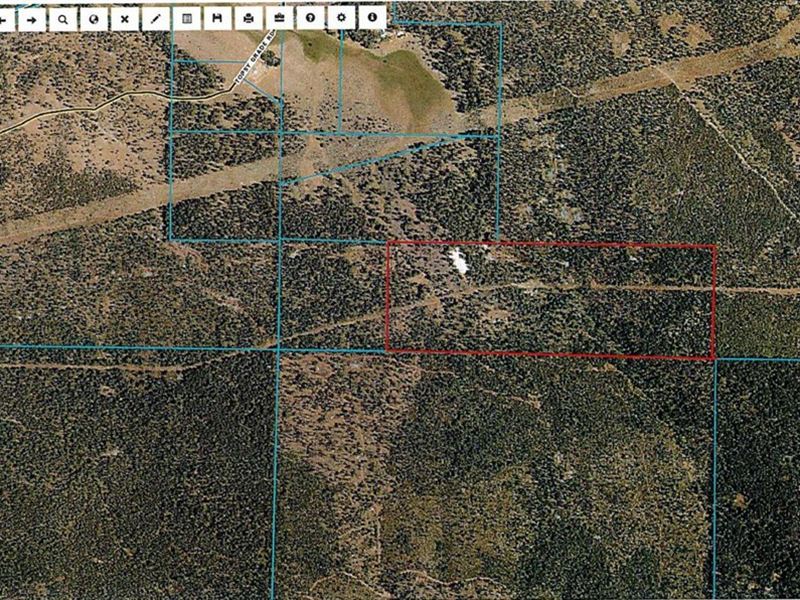 120 Acres Recreational Lot : Klamath Falls : Klamath County : Oregon