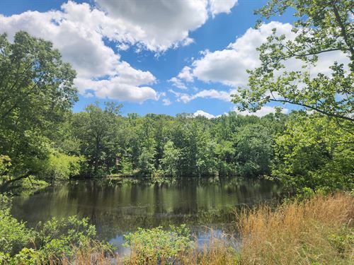 Trees, Pond and 80 Acres : Vilonia : Faulkner County : Arkansas