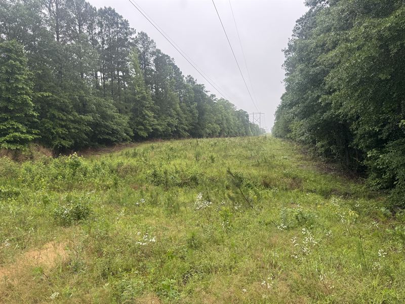 26.63 Acres Near Malvern : Sulphur Springs : Jefferson County : Arkansas