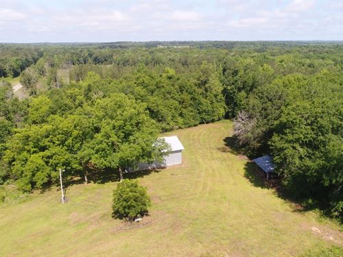 Pigeon Creek 147 Acres : Greenville : Butler County : Alabama