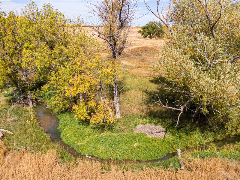 Logan County Combination Farm : Sterling : Logan County : Colorado