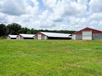 6 House Poultry Broiler Turnkey Far : Smithdale : Amite County : Mississippi